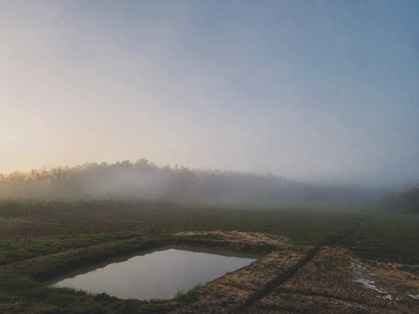 Veranda outlook into coffee country