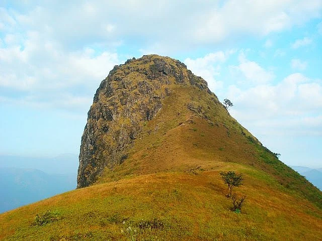 Ettina Bhuja